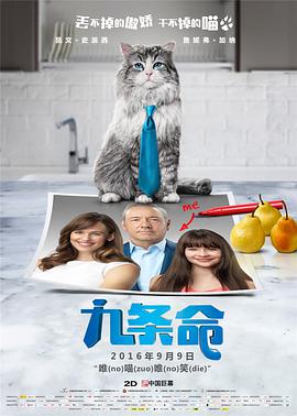 完美的妻子