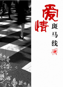 国产精品不卡在线观看