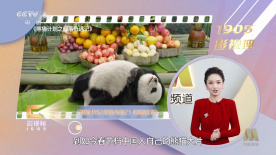 日韩精品视频在线观看